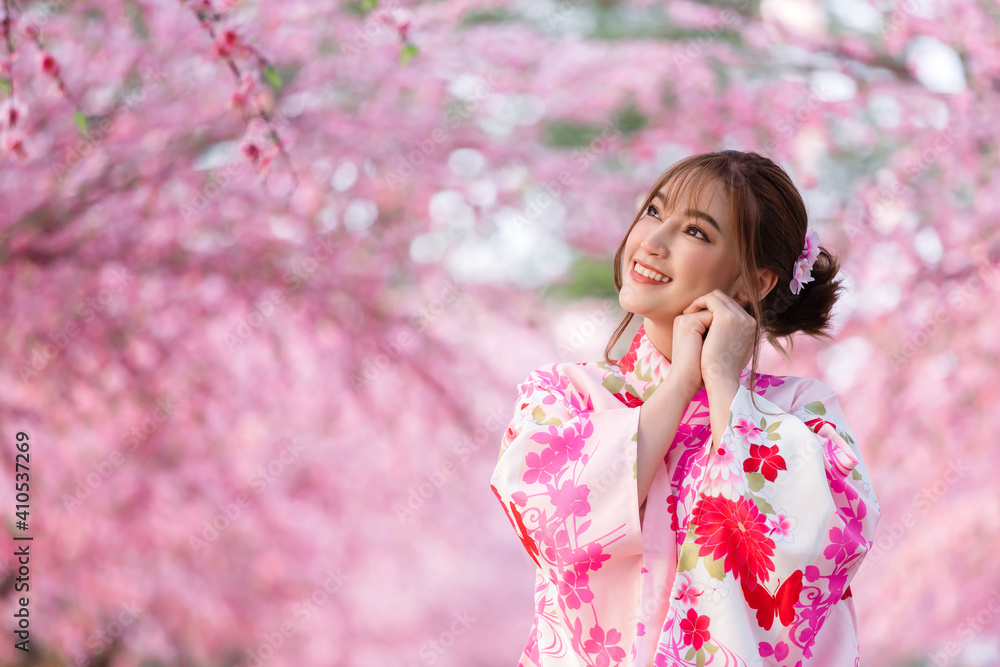 woman in yukata (kimono dress) looking sakura flower or cherry blossom blooming in garden woman in yukata (kimono dress) looking sakura flower or cherry blossom blooming in garden