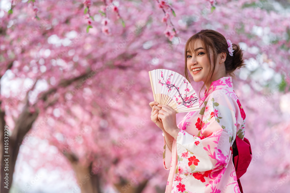 woman in yukata (kimono dress) holding folding fan and looking sakura flower or cherry blossom blooming in garden woman in yukata (kimono dress) holding folding fan and looking sakura flower or cherry blossom blooming in garden