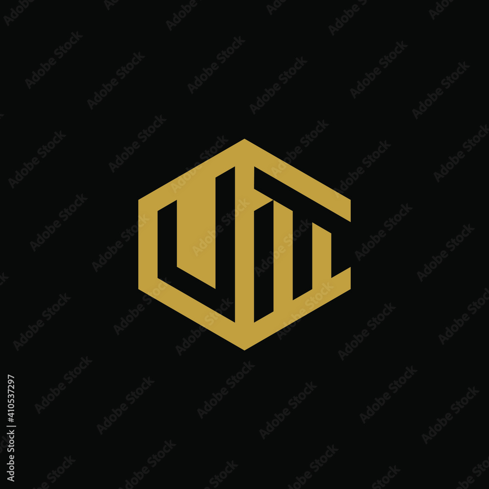 Initial letter VM hexagon logo design vector Initial letter VM hexagon logo design vector