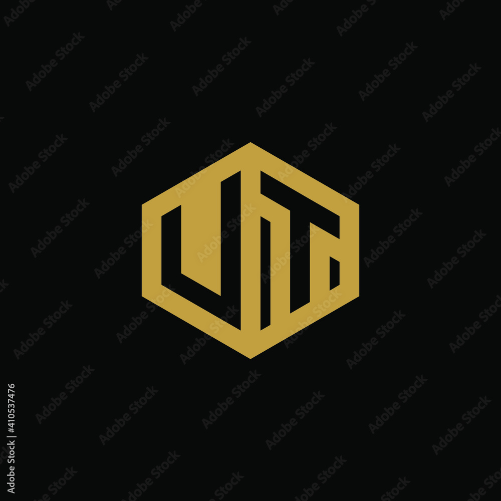 Initial letter VT hexagon logo design vector Initial letter VT hexagon logo design vector