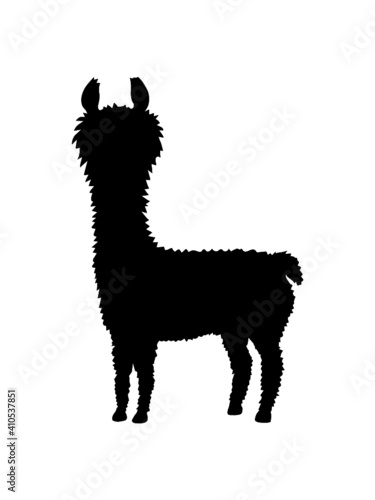 Cool Silhouette Alpaka 