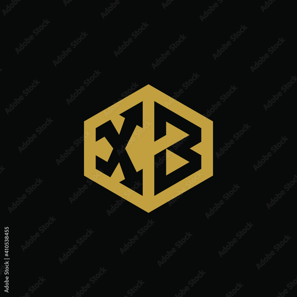 Initial letter XB hexagon logo design vector Initial letter XB hexagon logo design vector