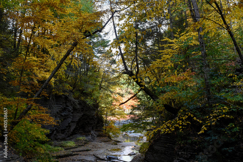 Nature walk in the Finger Lakes  New York State during Fall 