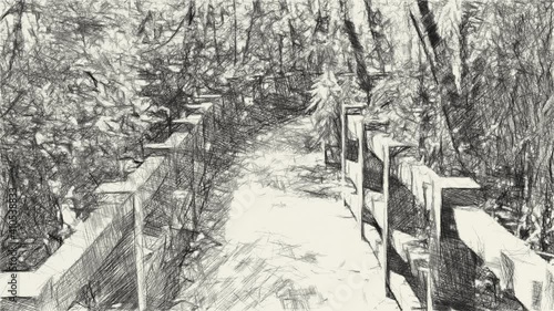 Wallpaper Mural art drawing black and white of way in forest Torontodigital.ca