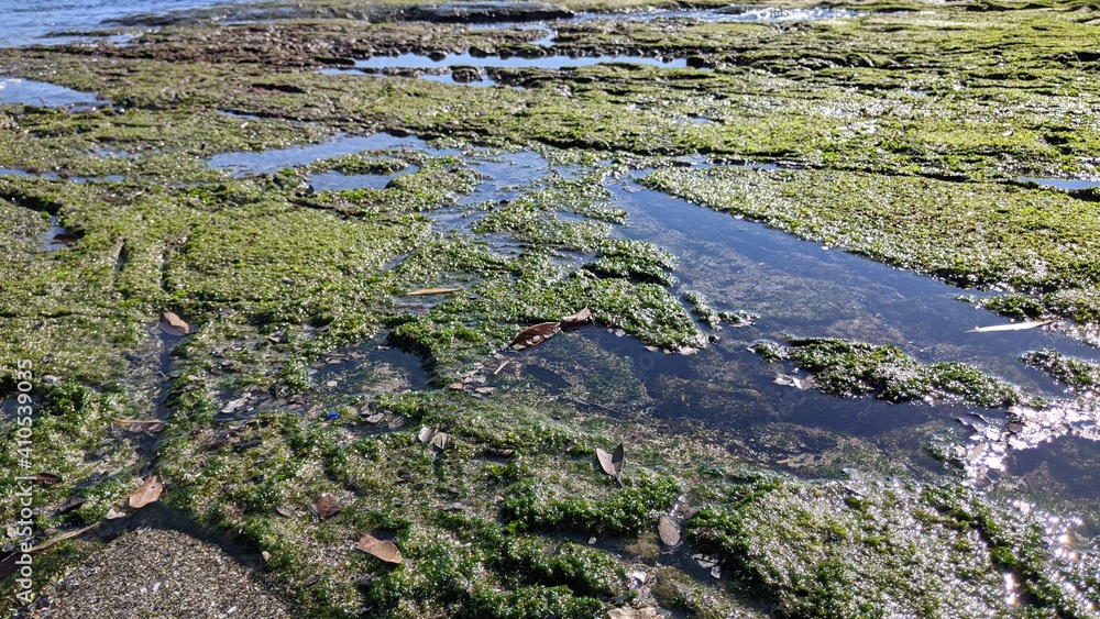 Coast Coast