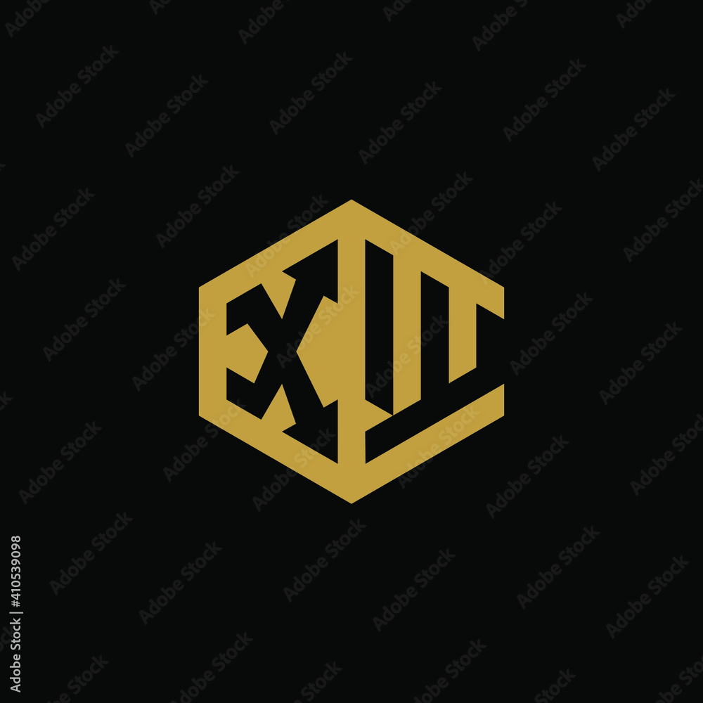 Initial letter XW hexagon logo design vector Initial letter XW hexagon logo design vector