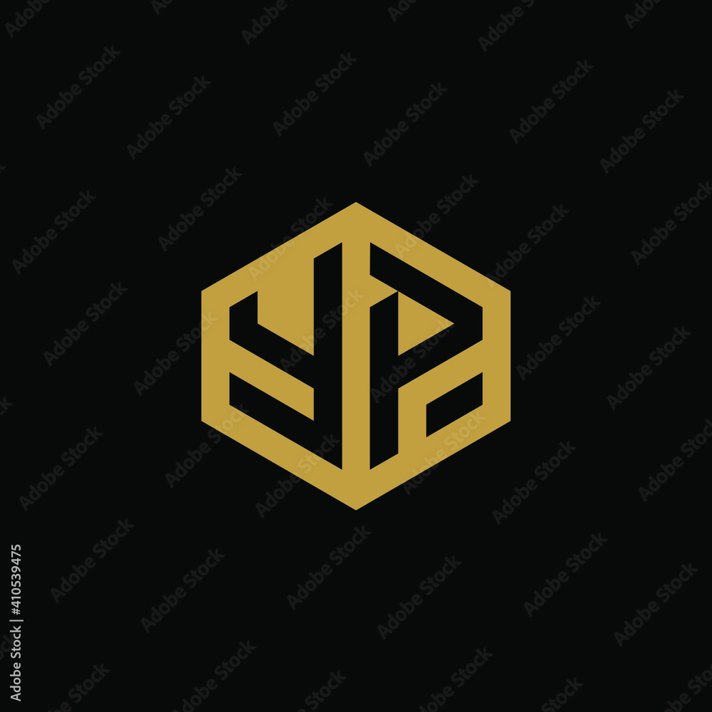 Initial letter YP hexagon logo design vector Initial letter YP hexagon logo design vector