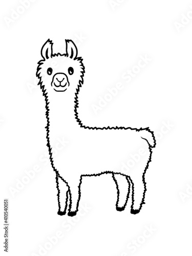 Alpaka Lieblingstier Lama 