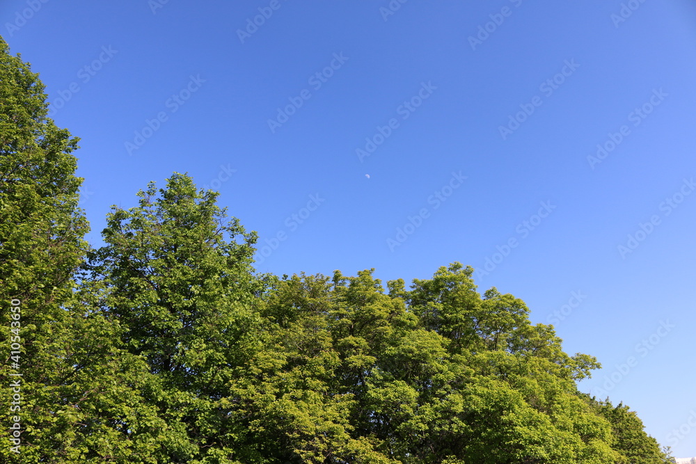 moon in the afternoon, blue sky, summer moon in the afternoon, blue sky, summer