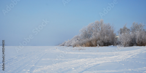 Wallpaper Mural Winter fog in the vicinity of Omsk, Siberia Russia Torontodigital.ca