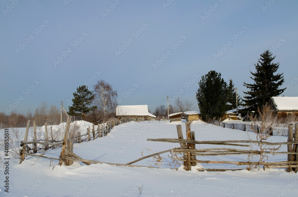 winter village landscape with old fence and firs. old village house