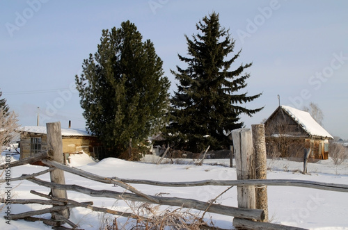 Wallpaper Mural winter village landscape with old fence and firs. old village house Torontodigital.ca