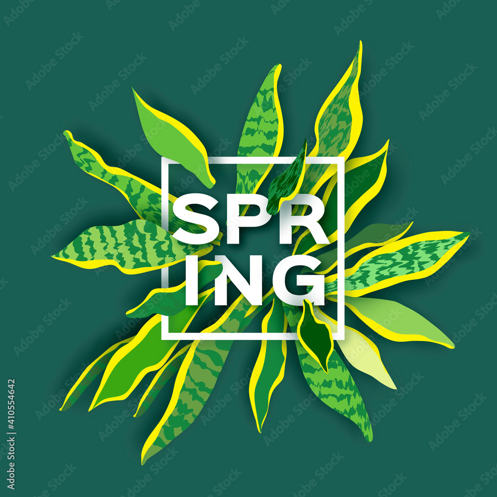 Obraz premium Snake Plant. Houseplant. Green Leaves of Sansevieria trifasciata paper cut style.botanical nature. Spring and summer time. Homeplant. Square frame. Text. Houseplant.