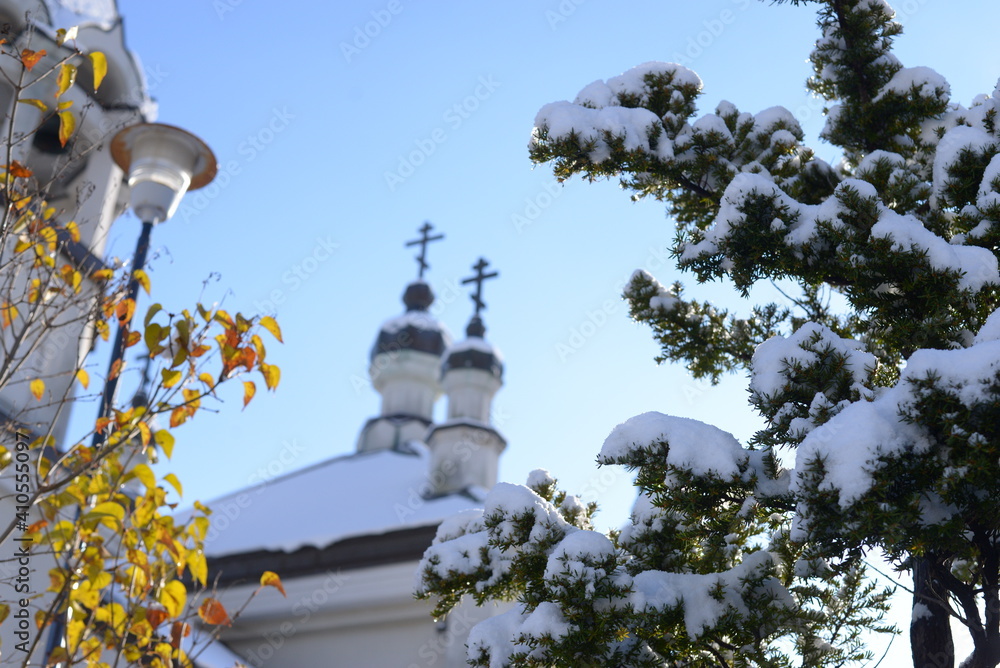 教会と雪の積もった木々