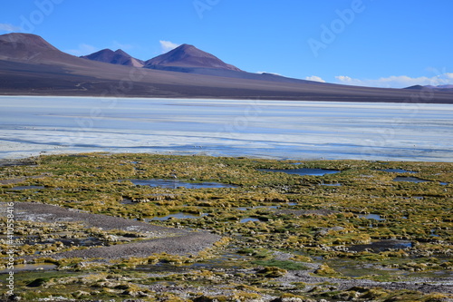 Variette de montaña photo