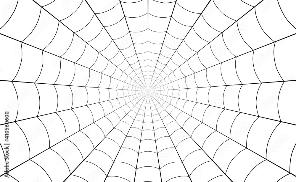 Obraz premium Spider web, net of thread cobweb background