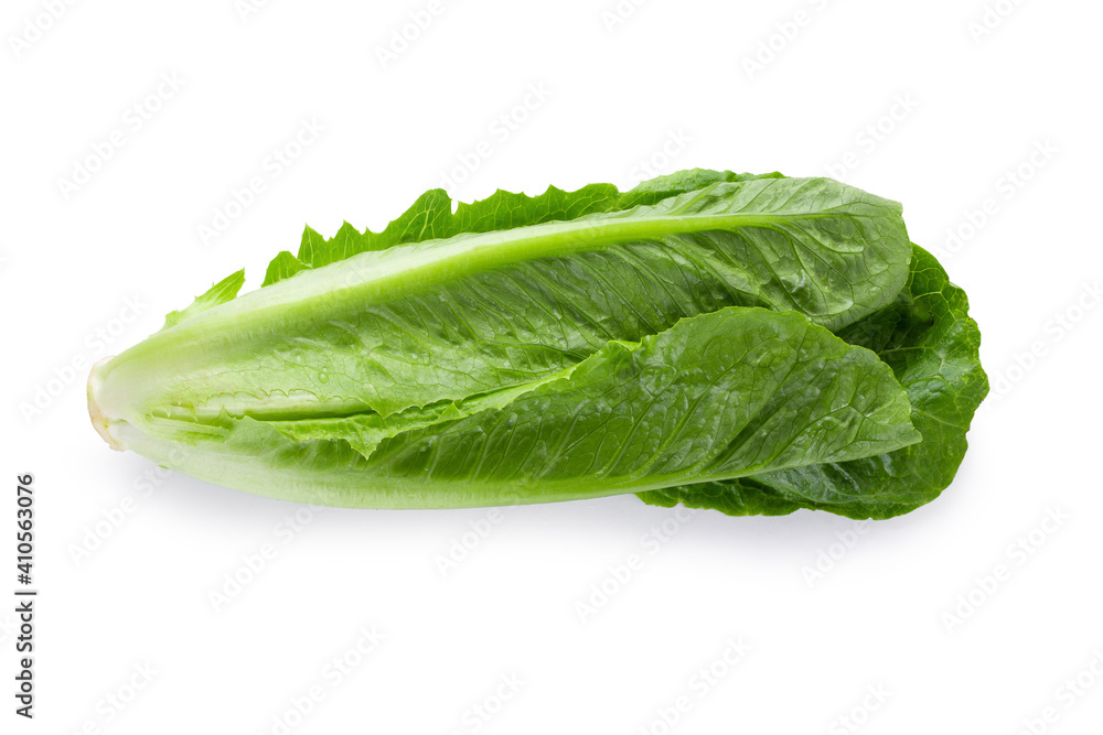 Cos Lettuce Isolated over the White Background. Cos Lettuce Isolated over the White Background.