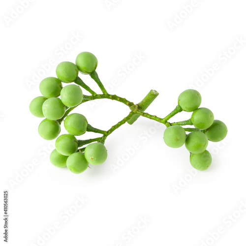 Pea Eggplants or turkey berry isolated over white background photo