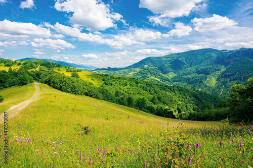 road through pasture on the hill in summer. beautiful rural landscape of carpathian mountains on a sunny day. wonderful summer weather with fluffy clouds on the sky