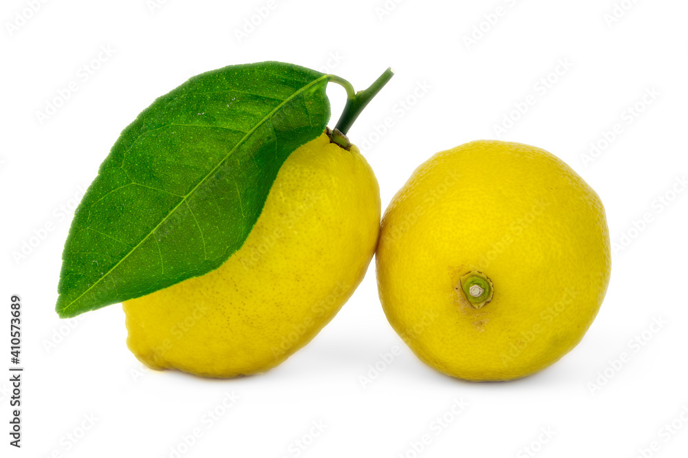 Two whole yellow lemons with green leaf isolated on white background. 