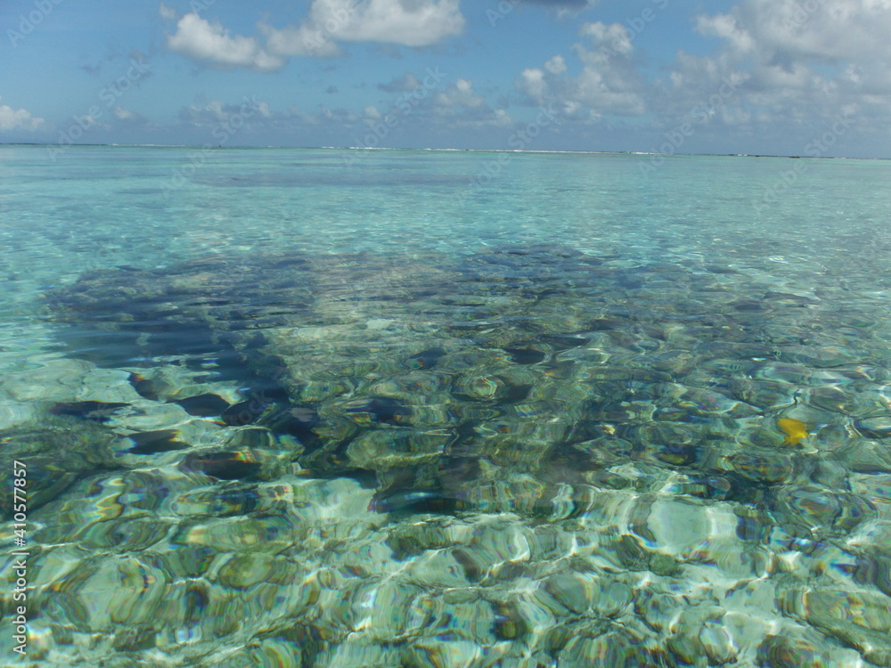 Fototapeta premium Under Water