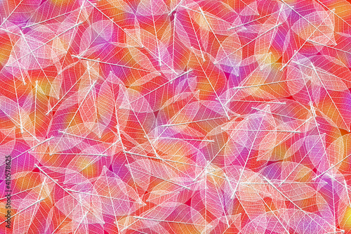 3D illustration of close up white leaf skeletons against a bright pink and orange background.