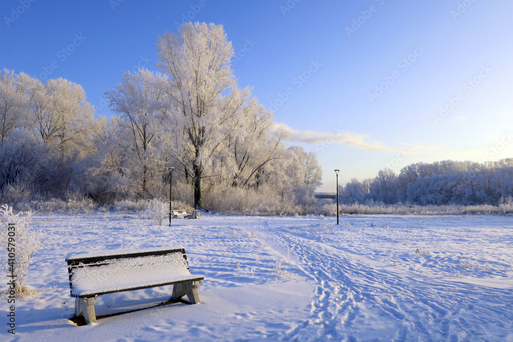 winter landscape in park