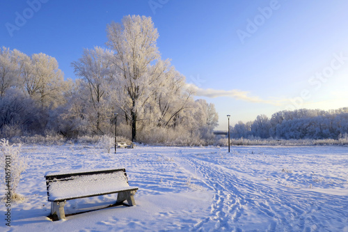 winter landscape in park