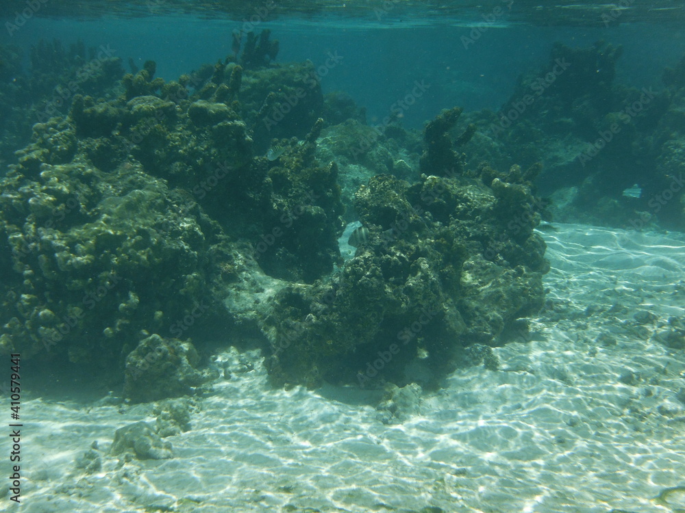 Obraz premium Island