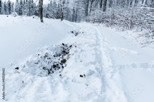 Zerwühlter Winter Waldweg