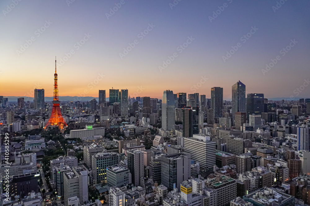 Fototapeta premium tokyo