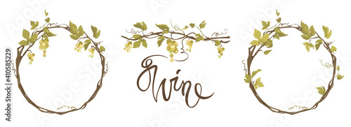 Grapevine - vector illustration. Design elements with a twisting vine with leaves and green berries. Freehand drawing in watercolor style. Frame with vine.