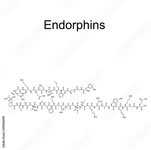 Endorphins hormone. Mood hormone endorphins molecular chemical formula. Vector illustration