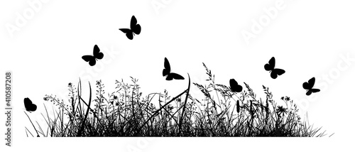 Abstract background with black silhouettes of meadow wild herbs and flowers. Wildflowers. flying butterflies. Hello summer. Floral background. Wild grass. Vector illustration.