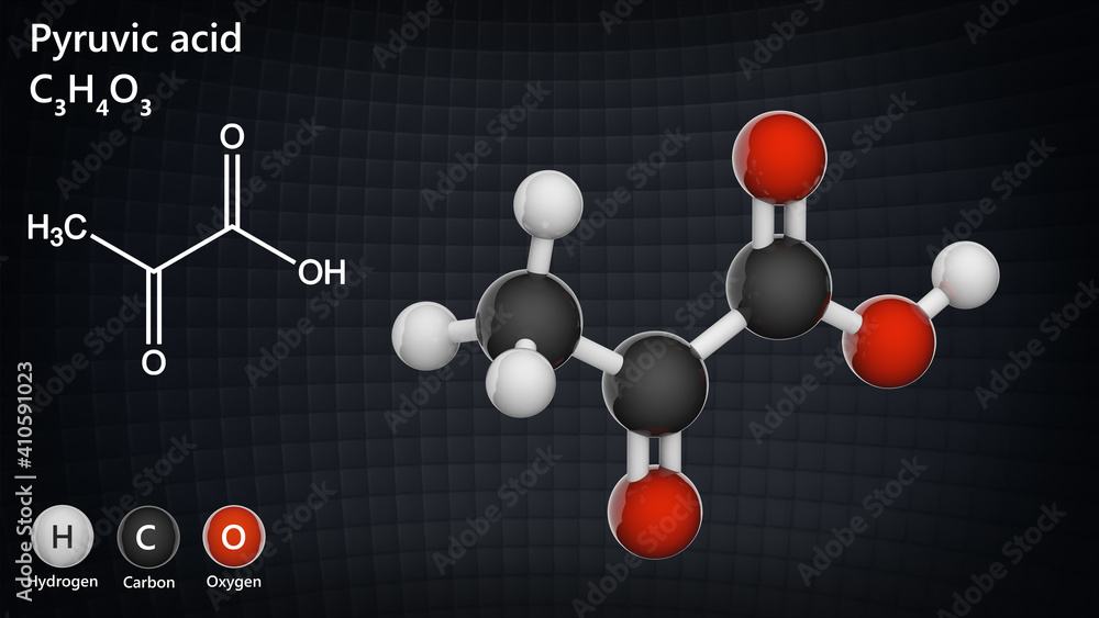 Pyruvic acid (C3H4O3) is an intermediate compound in the metabolism of ...