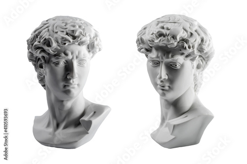 Tableau sur toile Gypsum statue of David's head
