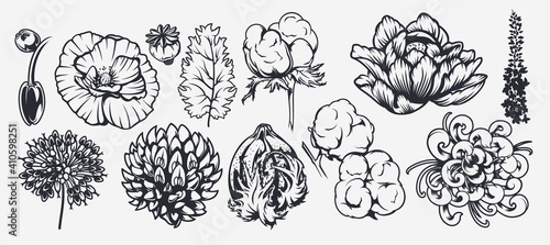 A set of illustrations on a floral theme. Can be used as an element of design, background, decoration, printing on fabric, and for many other uses