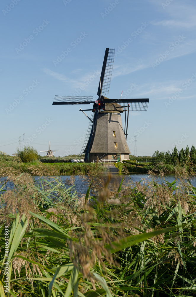 Dutch traditional landscape with old windmills in kinderdijk, Rotterdam, channel and water ways, green grass