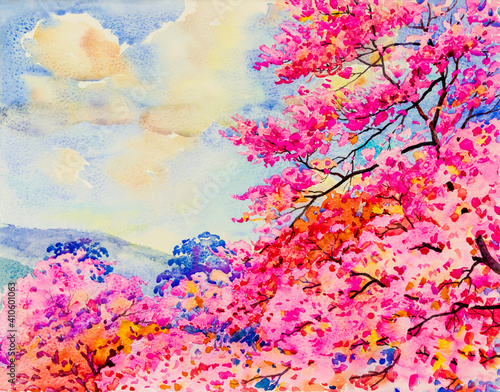 Painting watercolor of Wild Himalayan cherry flowers in Thainland.