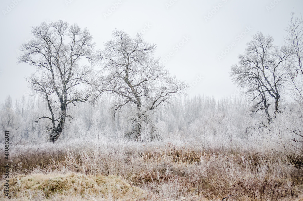 The first snow over the tributary of the Danube near the city of Novi Sad, Serbia The first snow over the tributary of the Danube near the city of Novi Sad, Serbia