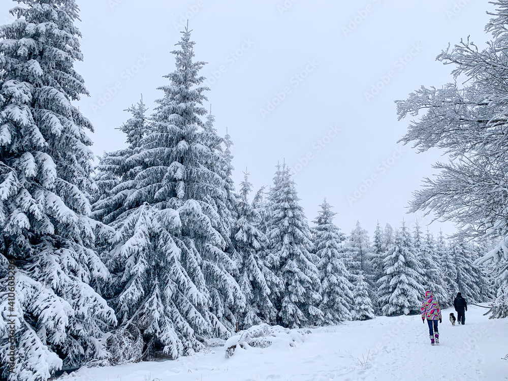Happy Family with dog walking through a snow covered forest. Beautiful winter landscape.