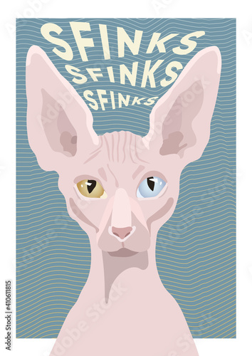 Cat poster for print. Sphynx cat illustration. Trendy colorful cat portrait poster with blue background and curve lines.  Poster for interior, blogpost, article, magazine