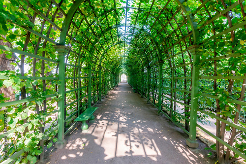 Arch alley in Summer garden, Saint Petersburg, Russia