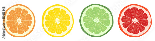 Set of citrus slices of lime, orange, grapefruit and lemon. Vector stock illustration. Textured effect on the skin. 