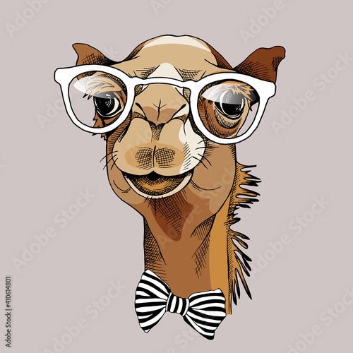 Camel portrait in a glasses and with a tie. Vector illustration.