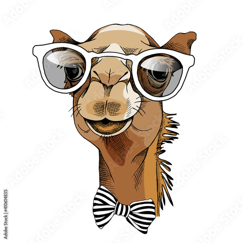 Camel portrait in a glasses and with a tie. Vector illustration.