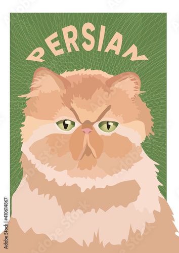 Persian portrait cat poster for print. Beautiful fluffy cute cat. Vector poster for interior, article, magazine, blogpost. Red cat on a green background with yellow curve lines