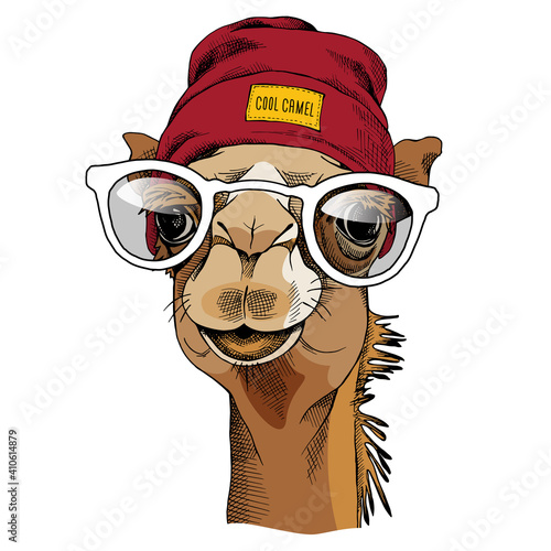 Fotografie, Tablou Camel portrait with a glasses and in a hipster hat