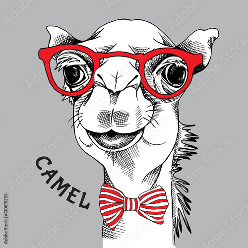 Camel portrait in a red glasses with tie. Vector illustration.
