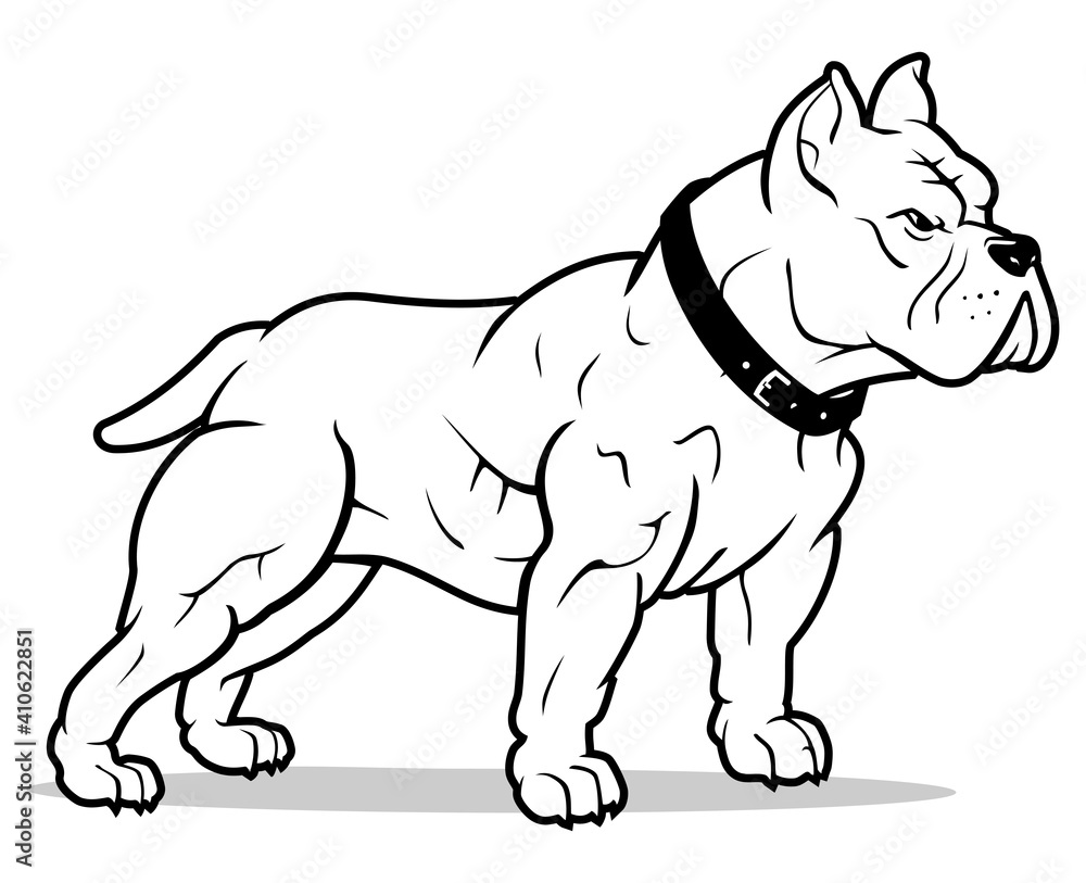 American Bully Dog Line Art Adobe Stock